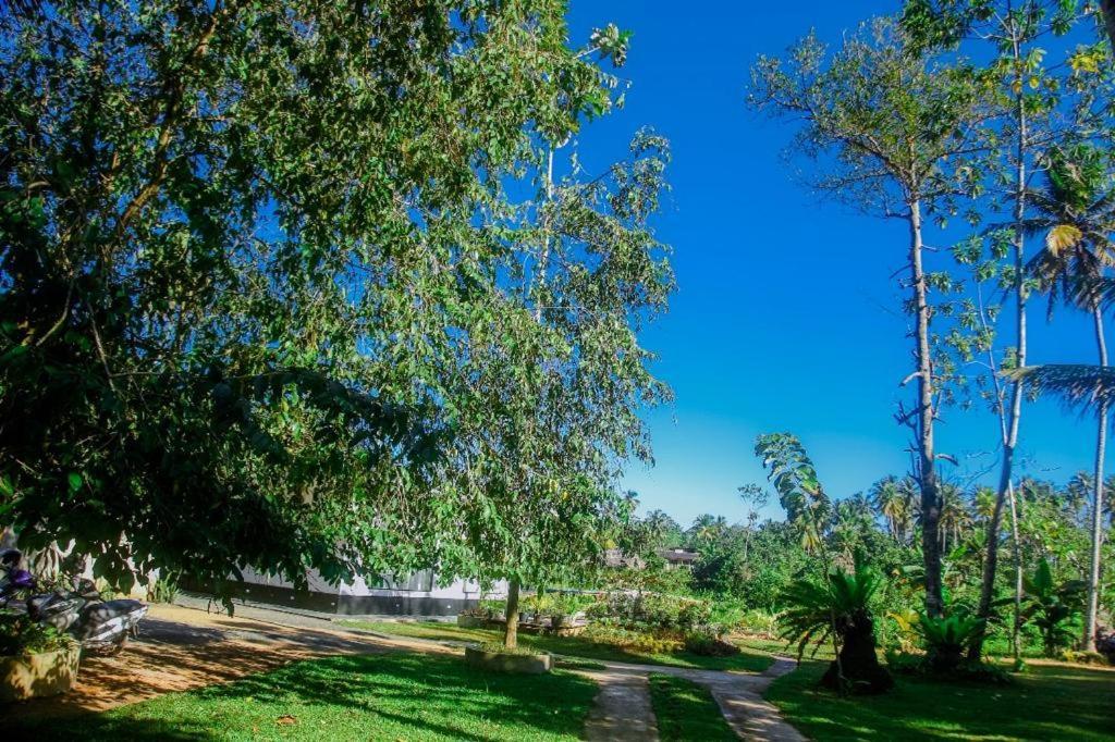 The Glade Aparthotel Weligama Εξωτερικό φωτογραφία